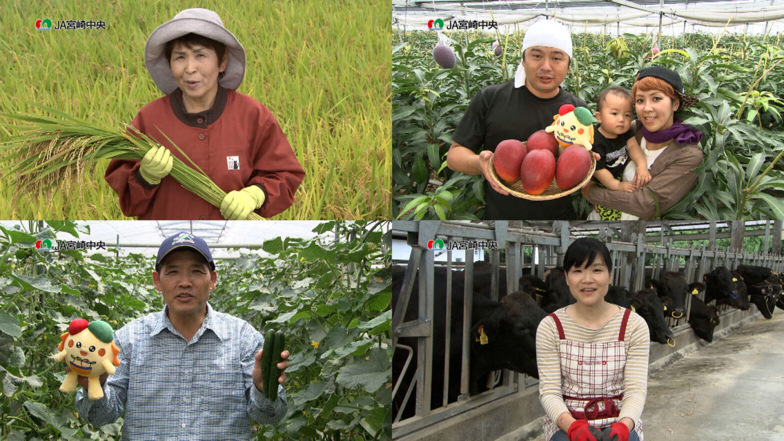 「生産者の声」篇