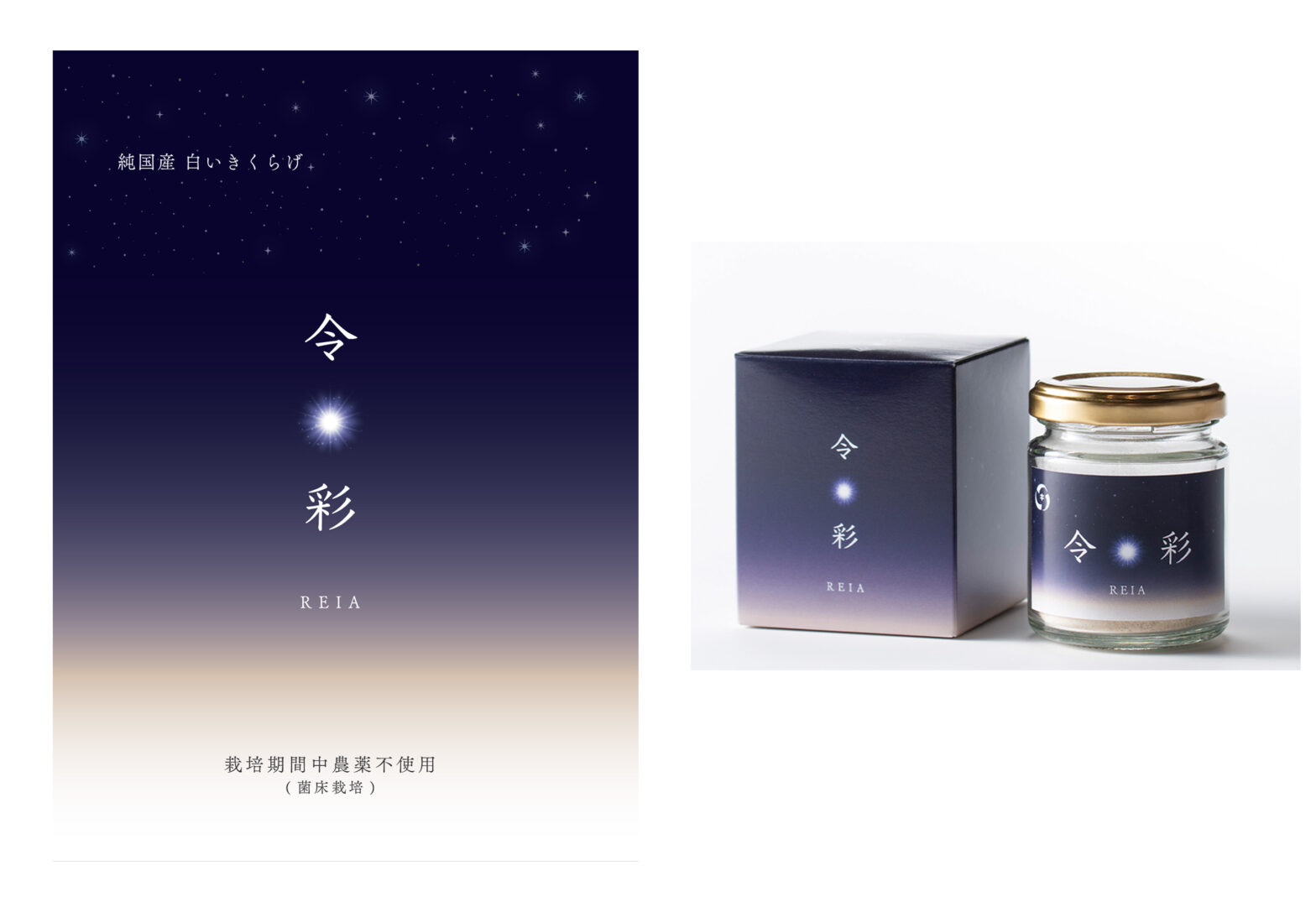 令彩「パッケージ」「パンフレット」